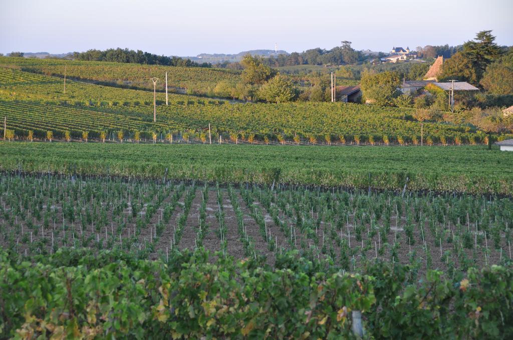 Les Foucauds Saint-Quentin-de-Caplong Exterior foto