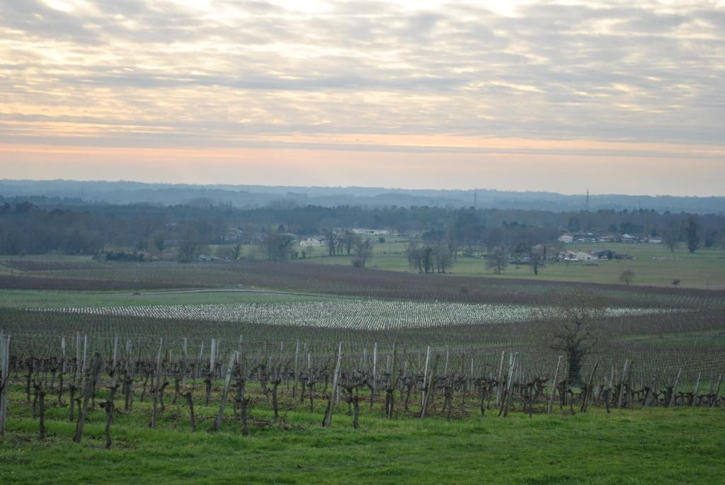 Les Foucauds Saint-Quentin-de-Caplong Quarto foto