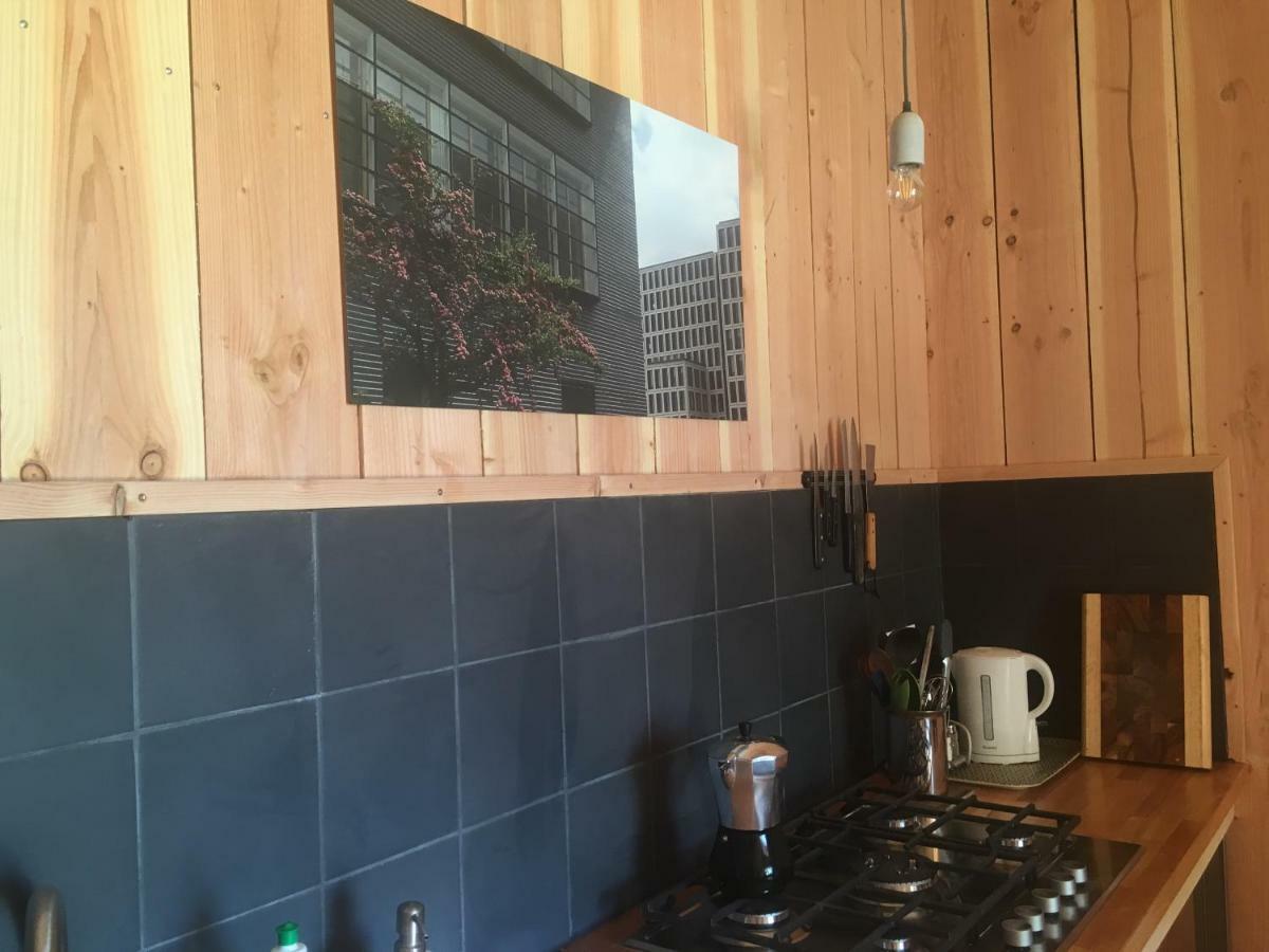 Les Foucauds Saint-Quentin-de-Caplong Exterior foto